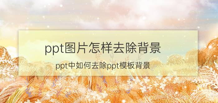 ppt图片怎样去除背景 ppt中如何去除ppt模板背景？